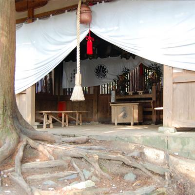 Reiki Usui Methode Gerlinde Strasser Schwalbach Rhein Main 07