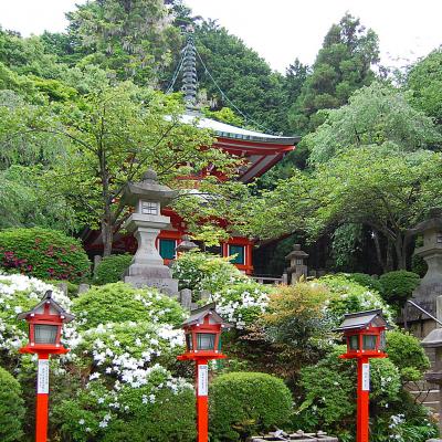 Reiki Usui Methode Gerlinde Strasser Schwalbach Rhein Main 09